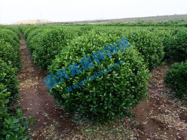 �c(di��n)���鿴Ԕ��(x��)��Ϣ��(bi��o)�}�����~�S���� ��x�Δ�(sh��)��2640