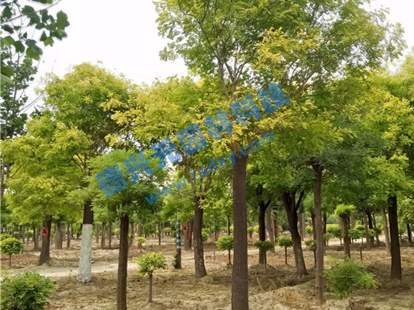 �c���鿴Ԕ����Ϣ���}�����~�� ��x�Δ���2397