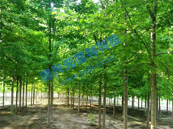 �c���鿴Ԕ����Ϣ���}�������t�� ��x�Δ���2114